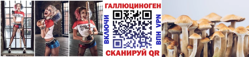 Псилоцибиновые грибы Magic Shrooms  Горячеводский 